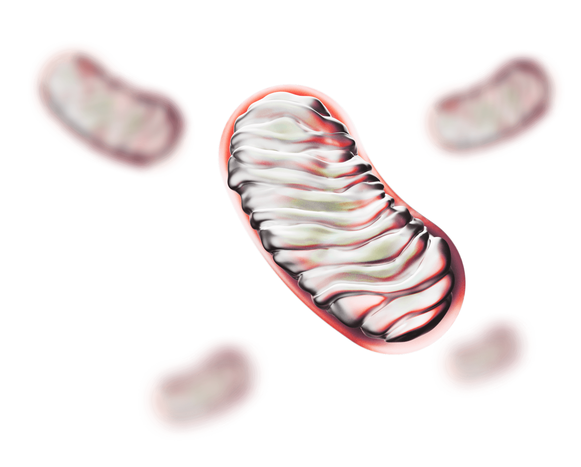 Aging mitochondria cell after